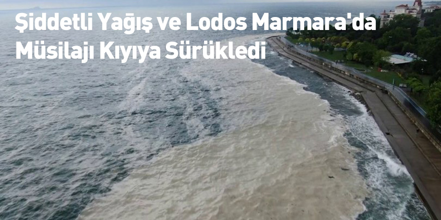 Şiddetli Yağış ve Lodos Marmara'da Müsilajı Kıyıya Sürükledi
