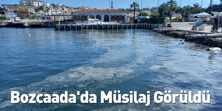 Bozcaada'da Müsilaj Görüldü