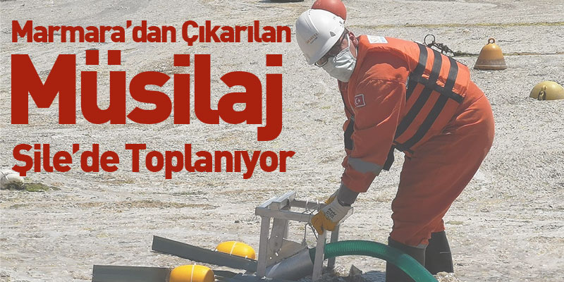 Marmara’dan Çıkarılan Müsilaj Şile’de Toplanıyor