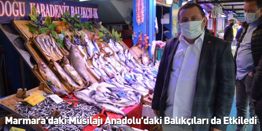 Marmara'daki Müsilajı Anadolu'daki Balıkçıları da Etkiledi