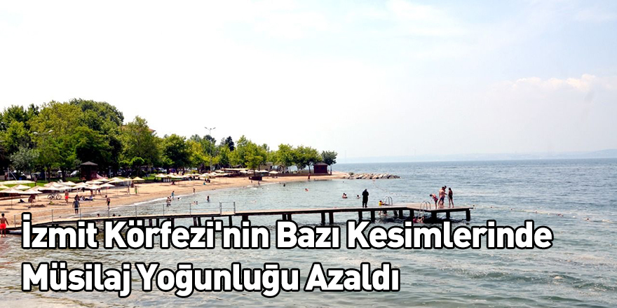 İzmit Körfezi'nin Bazı Kesimlerinde Müsilaj Yoğunluğu Azaldı