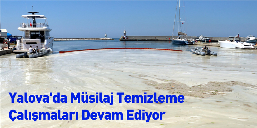 Yalova'da Müsilaj Temizleme Çalışmaları Devam Ediyor