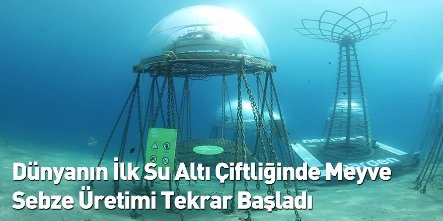 Dünyanın İlk Su Altı Çiftliğinde Meyve Sebze Üretimi Tekrar Başladı