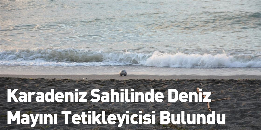 Karadeniz Sahilinde Deniz Mayını Tetikleyicisi Bulundu