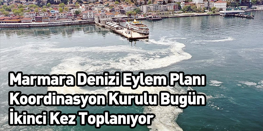 Marmara Denizi Eylem Planı Koordinasyon Kurulu Bugün İkinci Kez Toplanıyor