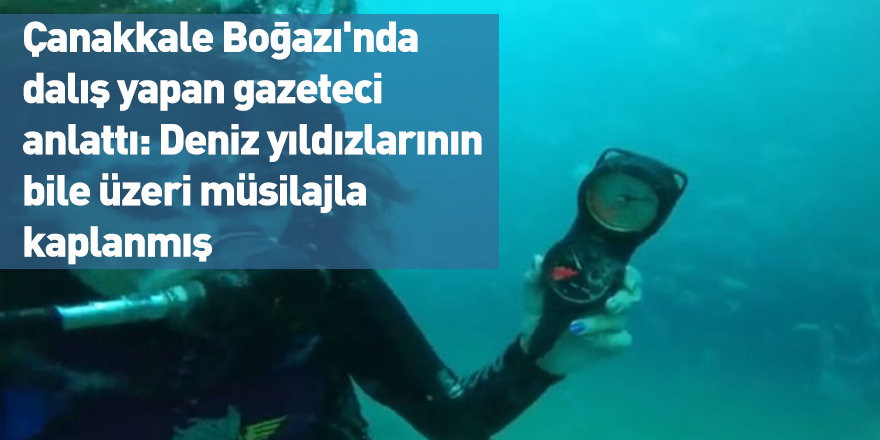 Çanakkale Boğazı'nda dalış yapan gazeteci anlattı: Deniz yıldızlarının bile üzeri müsilajla kaplanmış