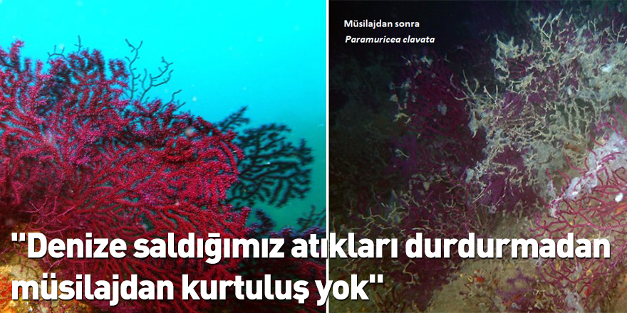 "Denize saldığımız atıkları durdurmadan müsilajdan kurtuluş yok"