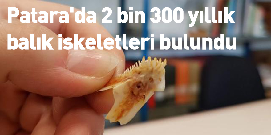 Patara'da 2 bin 300 yıllık balık iskeletleri bulundu