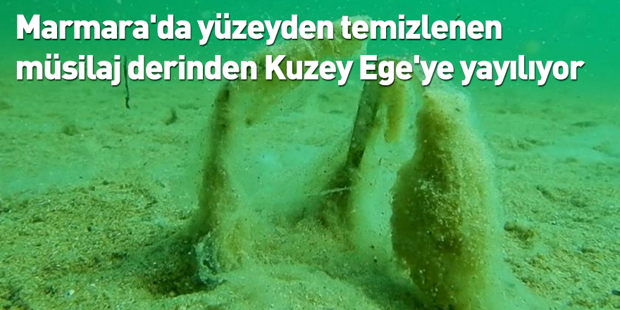 Marmara'da yüzeyden temizlenen müsilaj derinden Kuzey Ege'ye yayılıyor