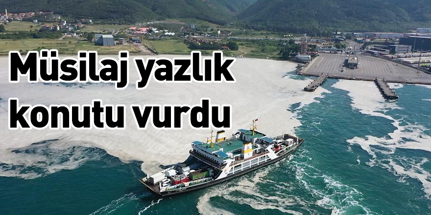 Musilaj yazlık konutu vurdu