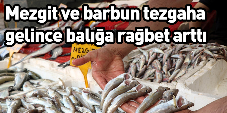 Mezgit ve barbun tezgaha gelince balığa rağbet arttı