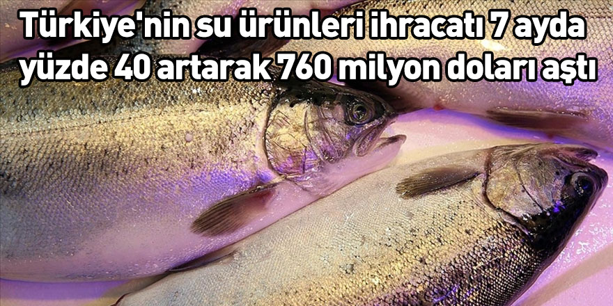 Türkiye'nin su ürünleri ihracatı 7 ayda yüzde 40 artarak 760 milyon doları aştı