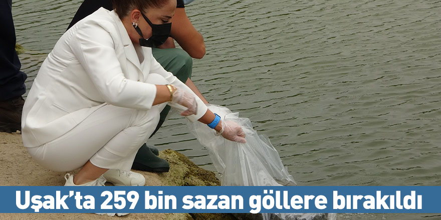 Uşak’ta 259 bin sazan göllere bırakıldı