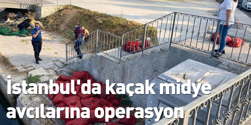 İstanbul'da kaçak midye avcılarına operasyon