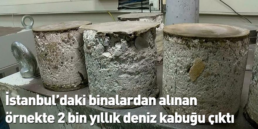İstanbul’daki binalardan alınan örnekte 2 bin yıllık deniz kabuğu çıktı