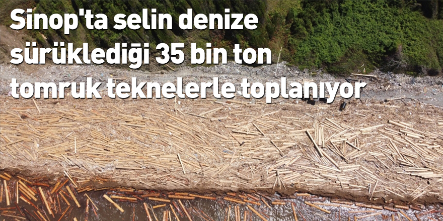 Sinop'ta selin denize sürüklediği 35 bin ton tomruk teknelerle toplanıyor