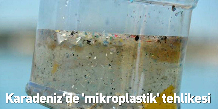 Karadeniz'de 'mikroplastik' tehlikesi