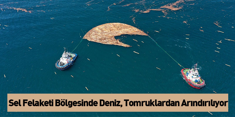 Sel Felaketi Bölgesinde Deniz, Tomruklardan Arındırılıyor