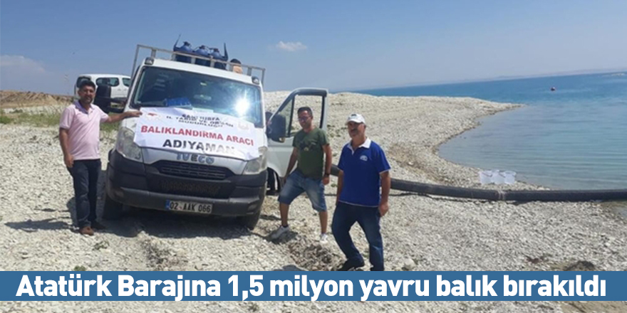 Atatürk Barajına 1,5 milyon yavru balık bırakıldı