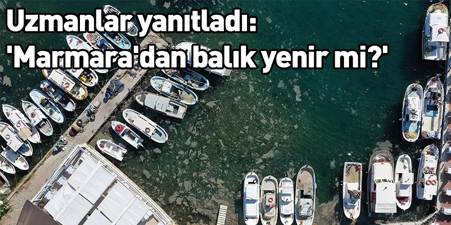 Uzmanlar yanıtladı: 'Marmara'dan balık yenir mi?'