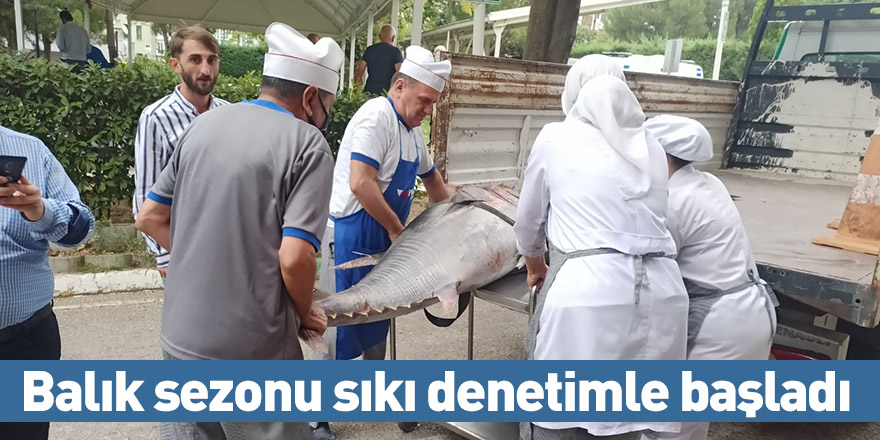 Balık sezonu sıkı denetimle başladı