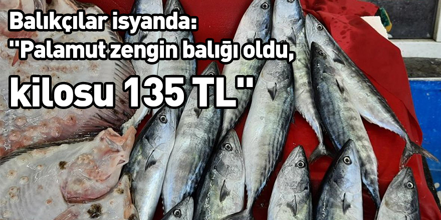 Balıkçılar isyanda: "Palamut zengin balığı oldu, kilosu 135 TL"