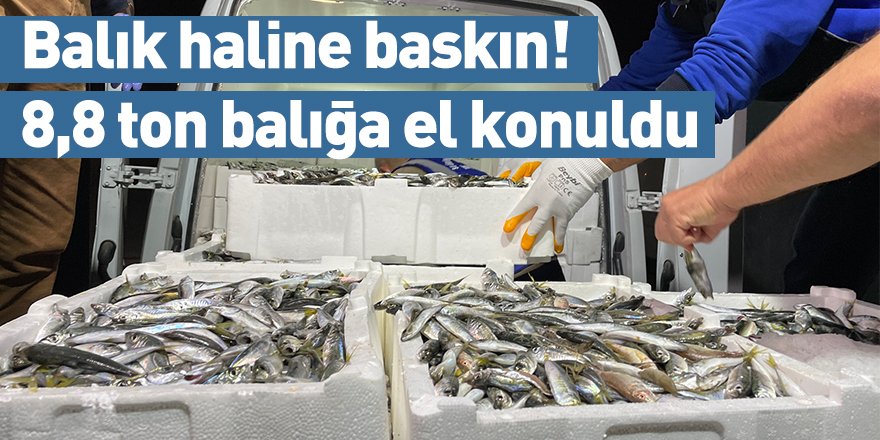 Balık haline baskın! 8,8 ton balığa el konuldu