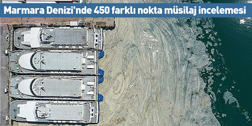 Marmara Denizi'nde 450 farklı nokta müsilaj incelemesi
