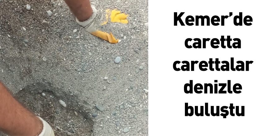 Kemer’de caretta carettalar denizle buluştu