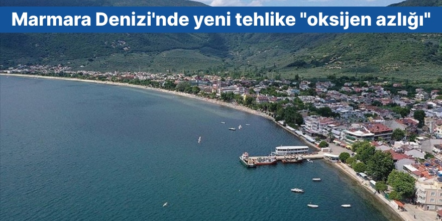 Marmara Denizi'nde yeni tehlike "oksijen azlığı"