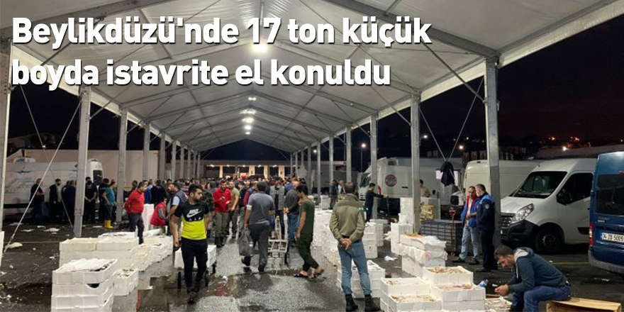 Beylikdüzü'nde 17 ton küçük boyda istavrite el konuldu