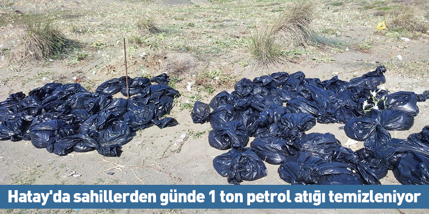 Hatay'da sahillerden günde 1 ton petrol atığı temizleniyor