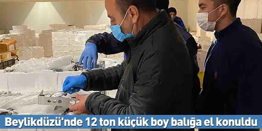 Beylikdüzü'nde 12 ton küçük boy balığa el konuldu