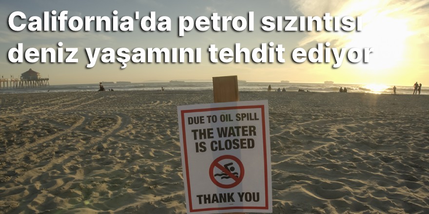 California'da petrol sızıntısı deniz yaşamını tehdit ediyor