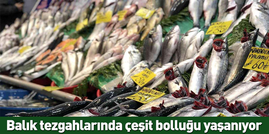 Balık tezgahlarında çeşit bolluğu yaşanıyor