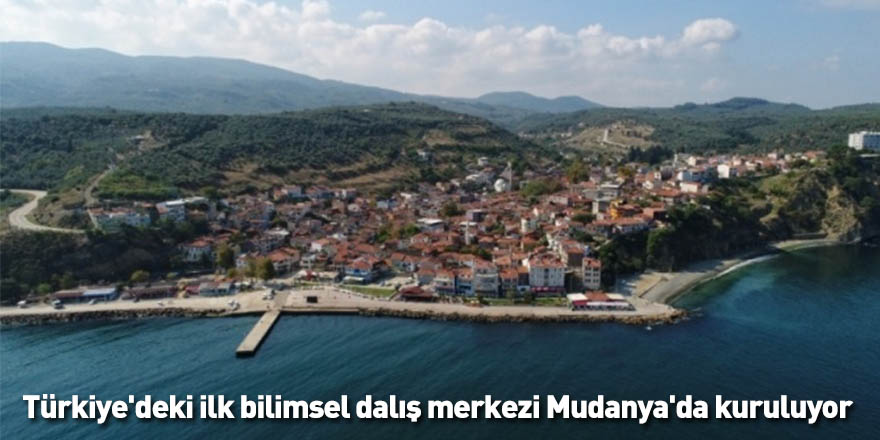 Türkiye'deki ilk bilimsel dalış merkezi Mudanya'da kuruluyor