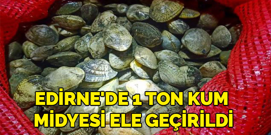 Edirne'de 1 ton kum midyesi ele geçirildi
