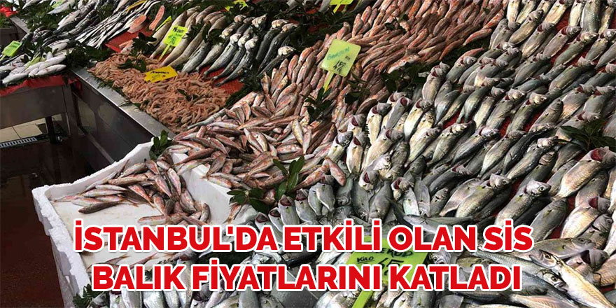 İstanbul'da etkili olan sis balık fiyatlarını katladı