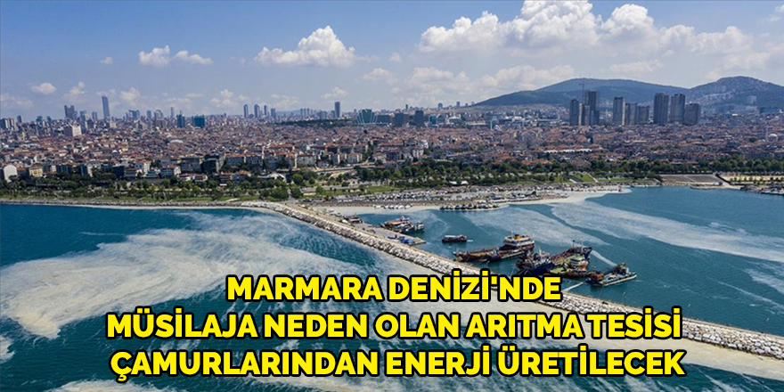 Marmara Denizi'nde müsilaja neden olan arıtma tesisi çamurlarından enerji üretilecek