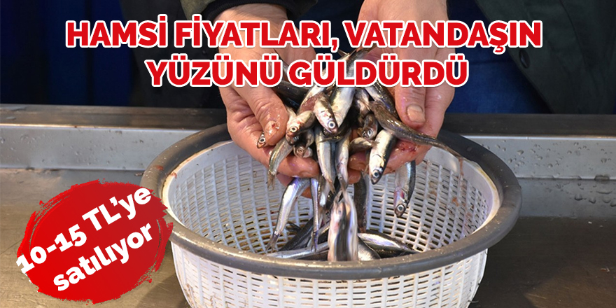 Hamsi fiyatları, vatandaşın yüzünü güldürdü