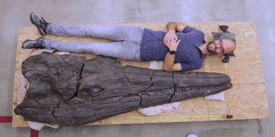 Devasa Bir 'Deniz Canavarı' Fosili Keşfedildi