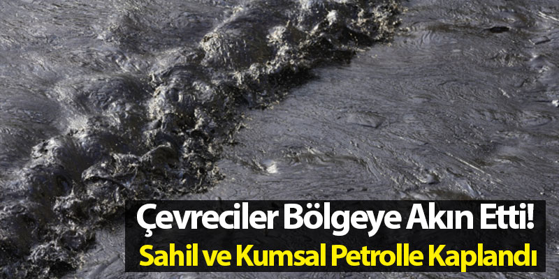 Çevreciler Bölgeye Akın Etti! Sahil ve Kumsal petrolle Kaplandı