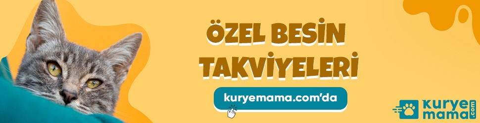 Uygun Fiyatlar İle Kurye Mama’da Proplan Kedi Veya Köpek Maması İndirimli Fiyatlar İle