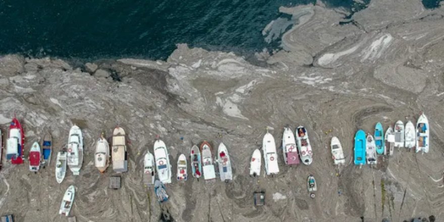 Marmara'da Yeniden Müsilaj Beklenmiyor