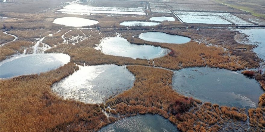 Göçmen Kuşların Uğrak Noktası 'Göl Baba' Sulak Alanı Buz Tuttu