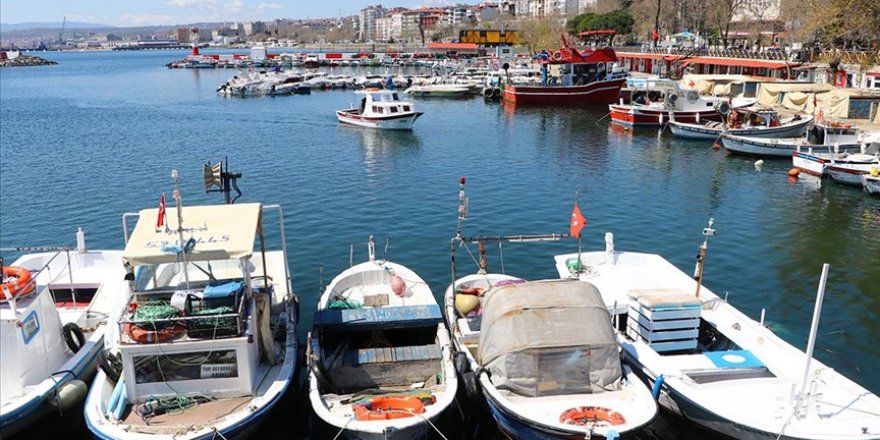 Tekirdağ'daki Balıkçıların 'Karides' Mesaisi Sürüyor