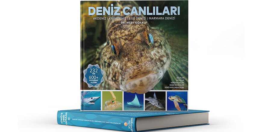 Türkiye'nin En Kapsamlı "Deniz Canlıları" Kaynağı Okuyucuyla Buluştu