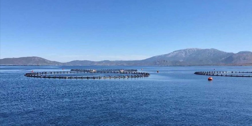 İÜ'nün Karaburun-Ildır Bölgesindeki Bilimsel Araştırma Seferinin İlk Etabı Sona Erdi