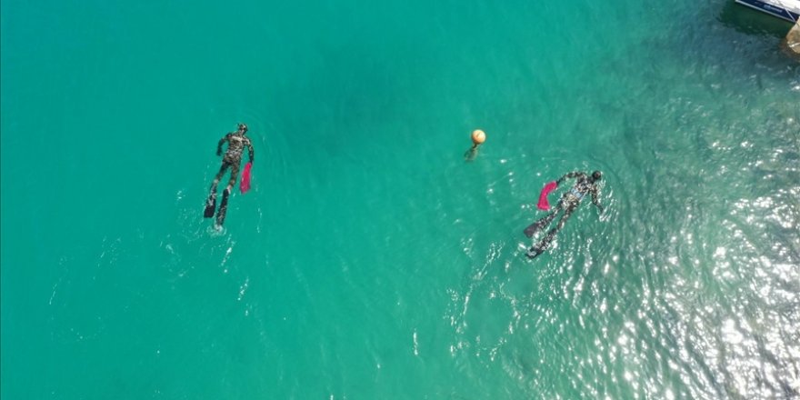 Bodrum'da Deniz Dibi Temizliği Etkinliği Yapıldı