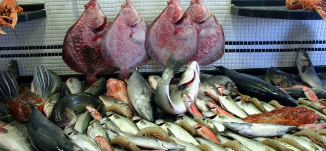 Balık fiyatlarına yüzde yüz zam